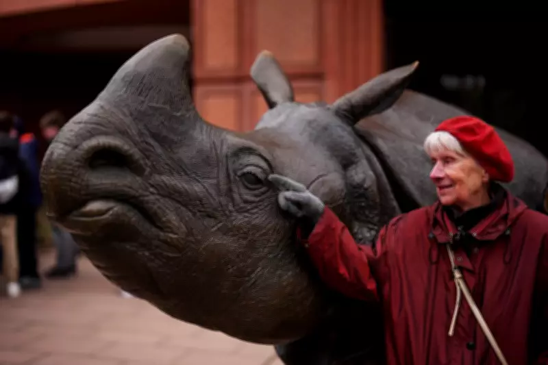 Berlin Zoo Offers Dementia-Friendly Tours for Joy and Respite