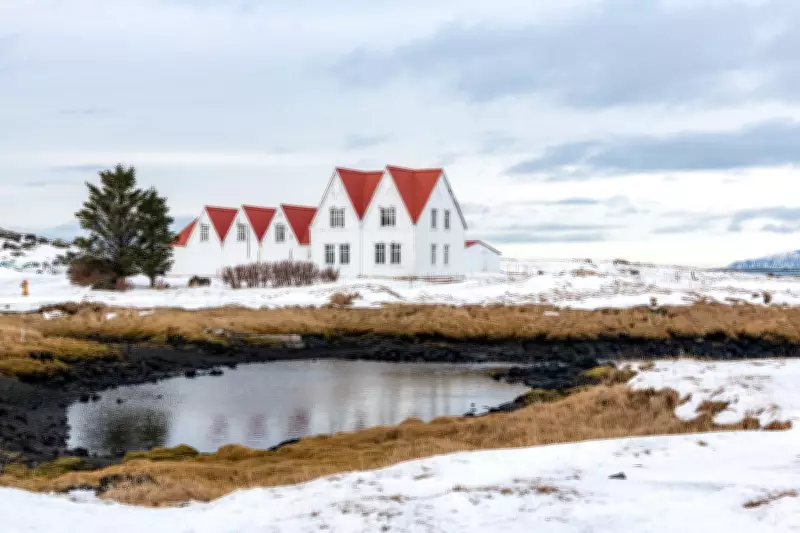 Björk to Host 'Eclipse Rave' in Iceland This Summer with Arca and Local Artists