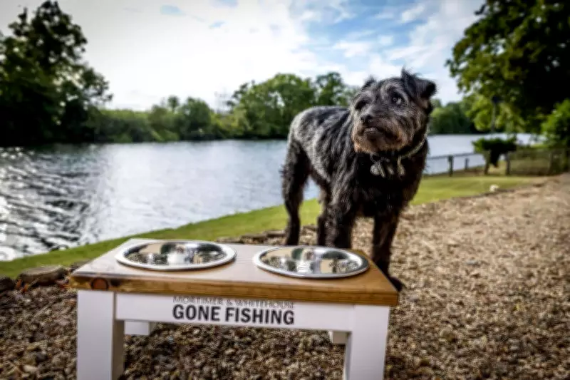 Bob Mortimer 'Very, Very Sad' After Death of Gone Fishing Dog Ted
