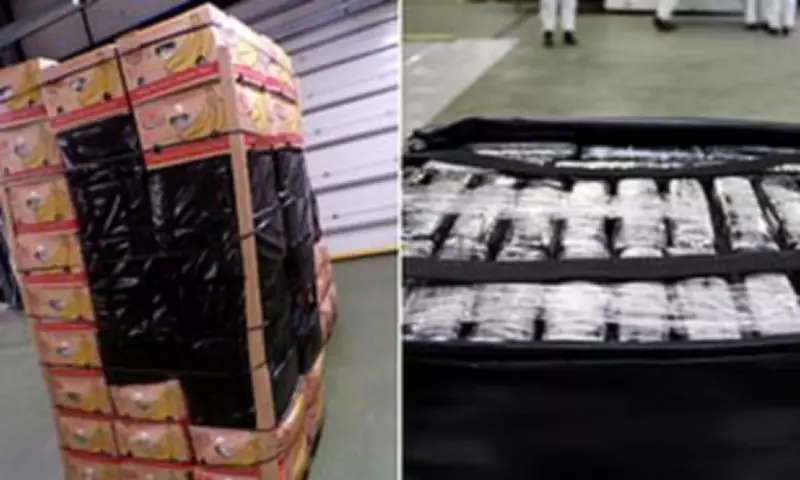 Border Force Seizes £256m Cocaine Haul Disguised as Banana Boxes