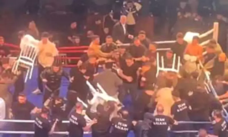 Boxing Match in Turkey Erupts into Massive Brawl After Coach Taunts Opponent