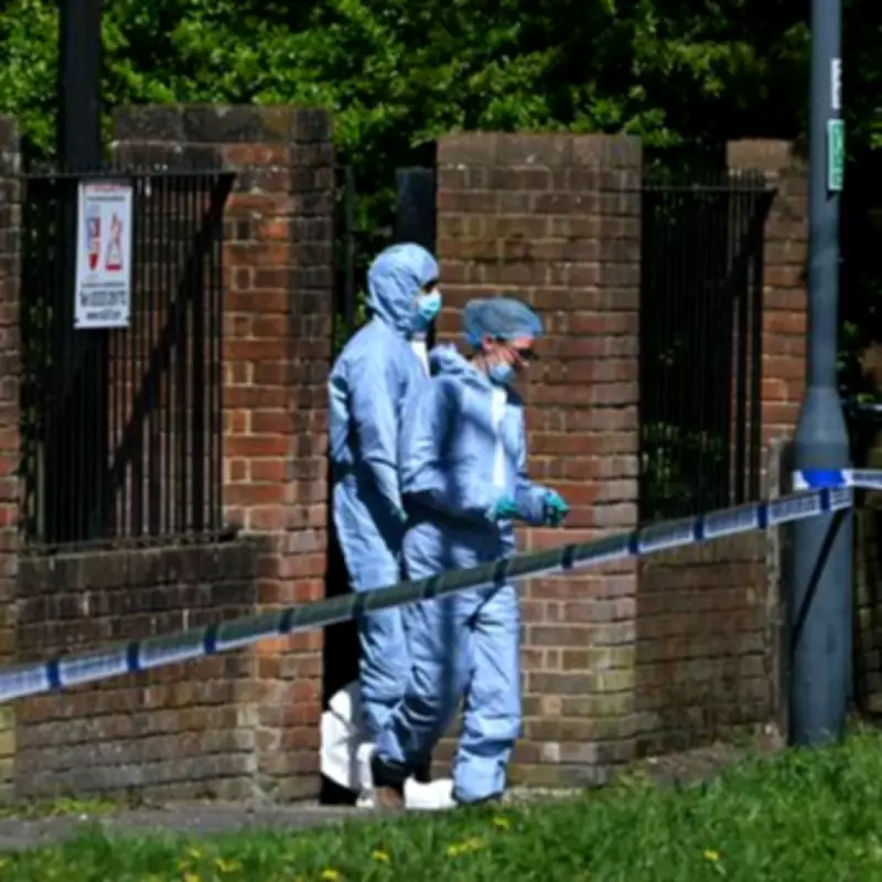 Brave 82-Year-Old Vows Firebomb Attacks Won't Stop Her Synagogue Visits