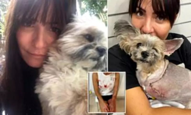 Bridal Boutique Owner Wins $101K Appeal Over Dog Attack Injuries