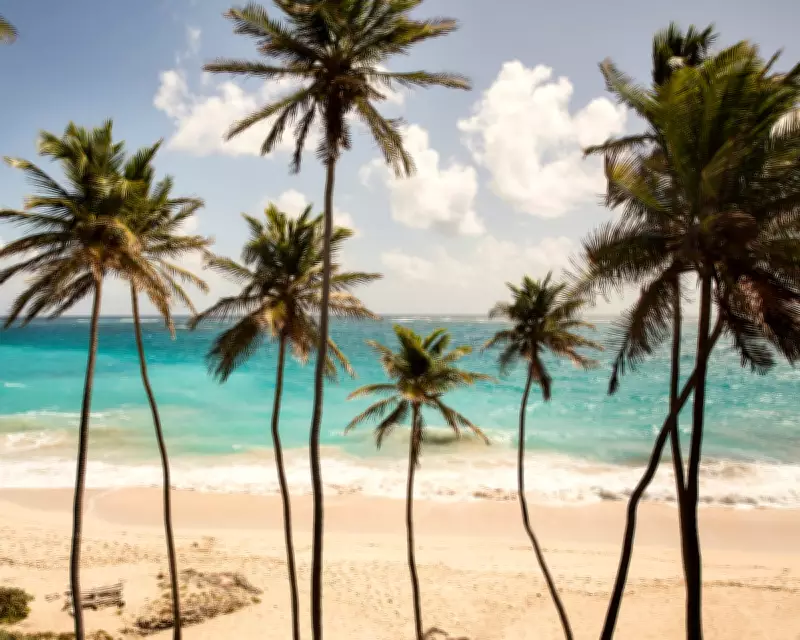 Bridesmaid denied UK transit visa costs couple £2,000 for Barbados wedding