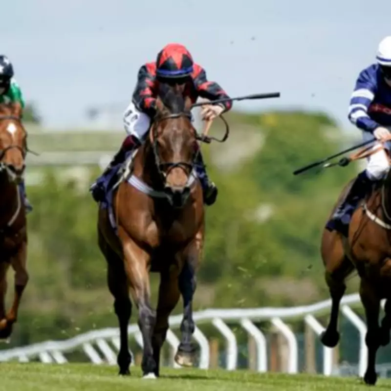 Brighton Racecourse Cancels 2026 Season Opener Over Track Safety Concerns