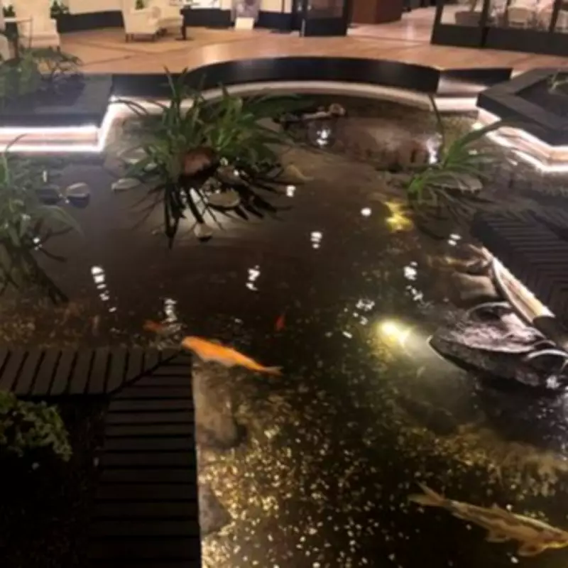 British Pensioner, 70, Falls from Lanzarote Hotel into Shallow Fish Pond