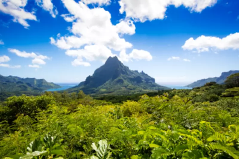 British Teen Killed by Speedboat While Snorkelling in Tahiti