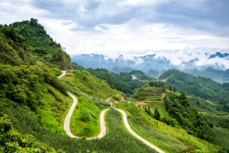 British Teen's Organs Donated After Tragic Motorbike Crash in Vietnam