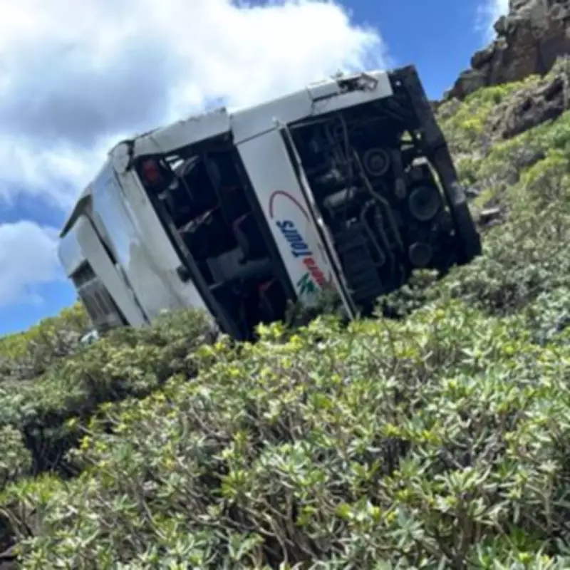 British Tourist Killed in Canary Islands Bus Crash Amid Brake Failure Probe