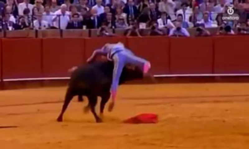 Bullfighter Gored in Thigh Days After Matador's Rectum Injury in Spain