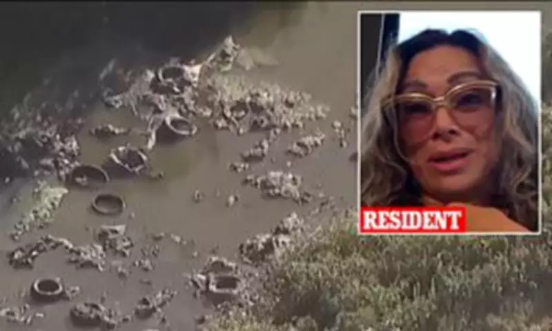 California Beach Residents Flee as Toxic Sewage Odor Hits 150 Times Safety Limit