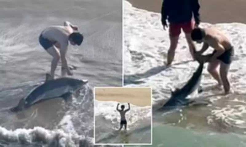 California Fisherman's Daring Rescue: Climbs Onto Great White Shark to Free It