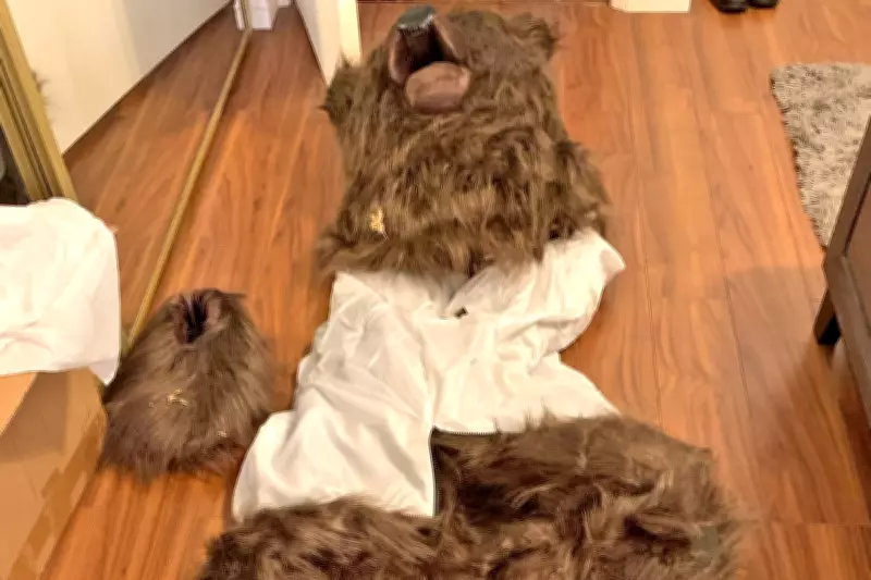California Fraudsters Use Bear Costume in Elaborate Luxury Car Insurance Scam