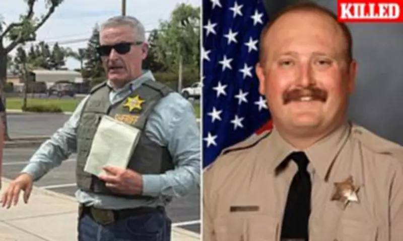 California Sheriff Defends Intentional Fatal Vehicle Strike on Suspect Who Killed Detective