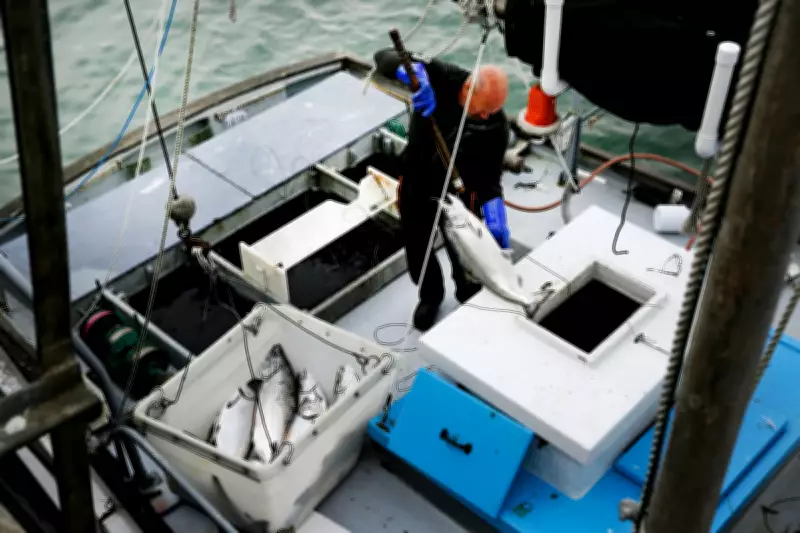 California's Commercial Salmon Fishing Returns After Three-Year Hiatus