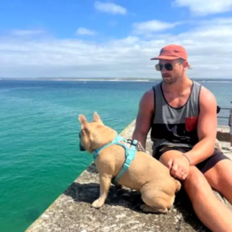 Carpenter Quits Job After His French Bulldog Becomes Family Breadwinner