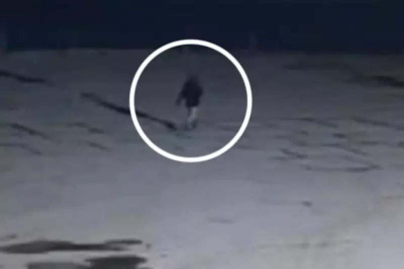 CCTV Reveals Last Known Movements of Missing Essex Academic Vitoria Barreto