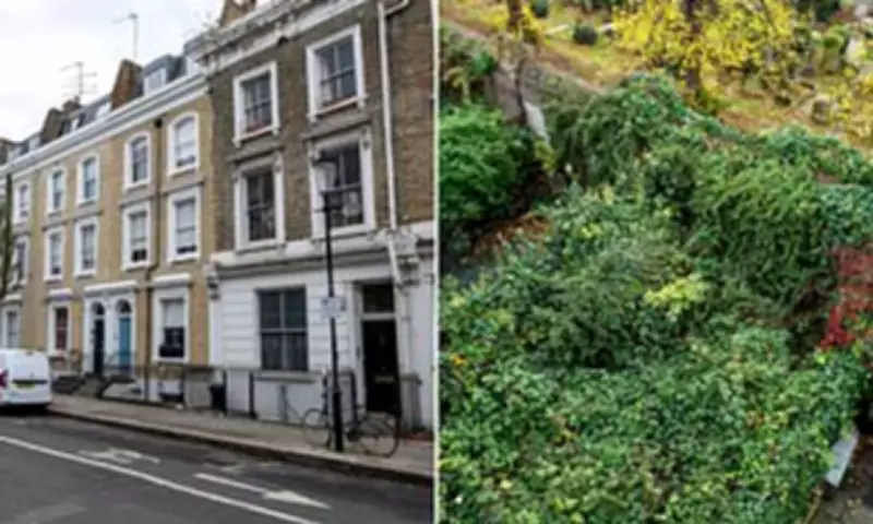 Chelsea mansion owner ordered to clear rat-infested Japanese knotweed jungle