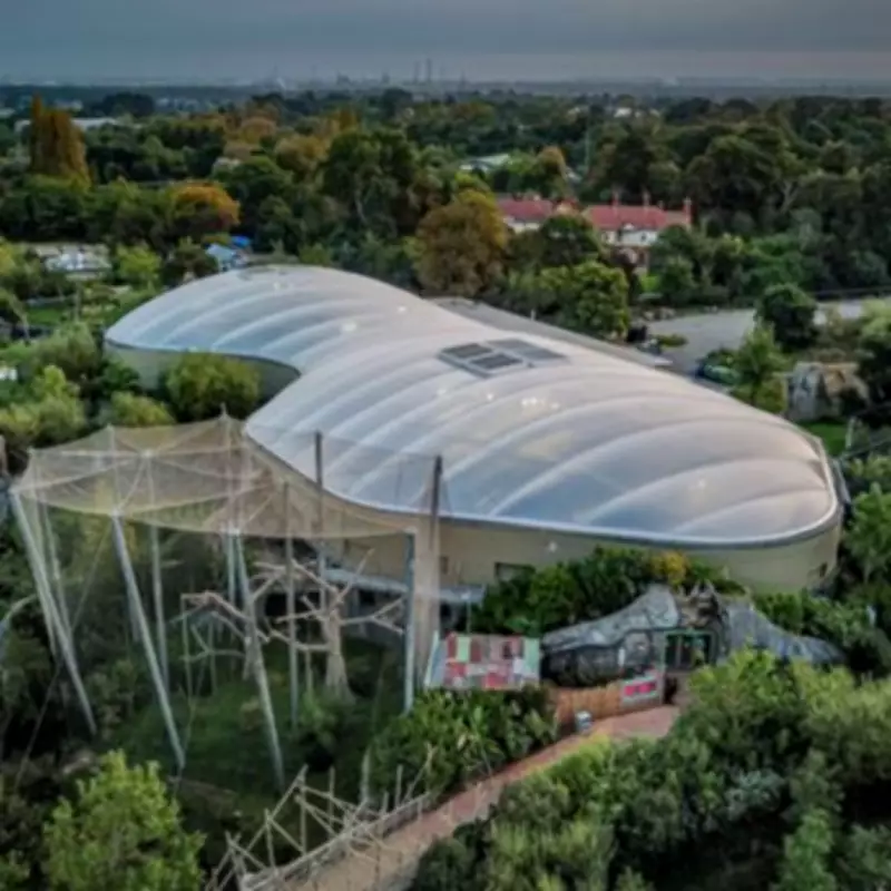 Chester Zoo Named UK's Best Zoo by Tripadvisor with 30,000 Animals