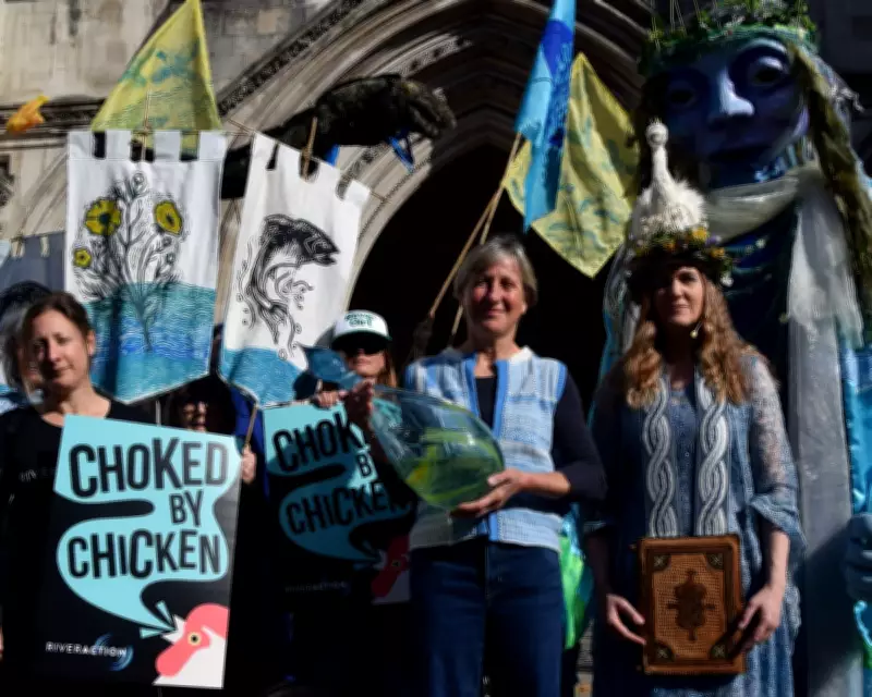 Chicken Producers Challenge River Pollution Lawsuit in High Court