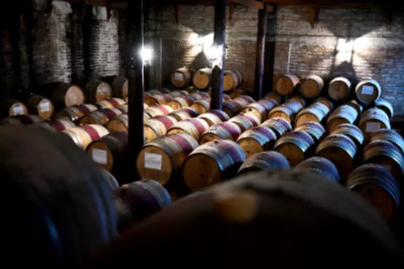 Chilean Wine Industry Targets Younger Drinkers Amid Global Consumption Slump