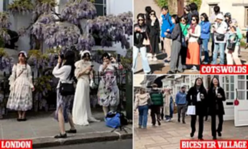 Chinese Gen Z Tourists Flock to UK's Wisteria Streets via RedNote App