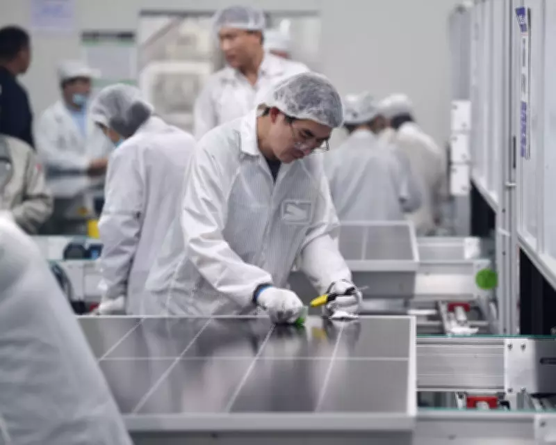 Chinese Green Tech Dependency Poses Serious Risks for Europe