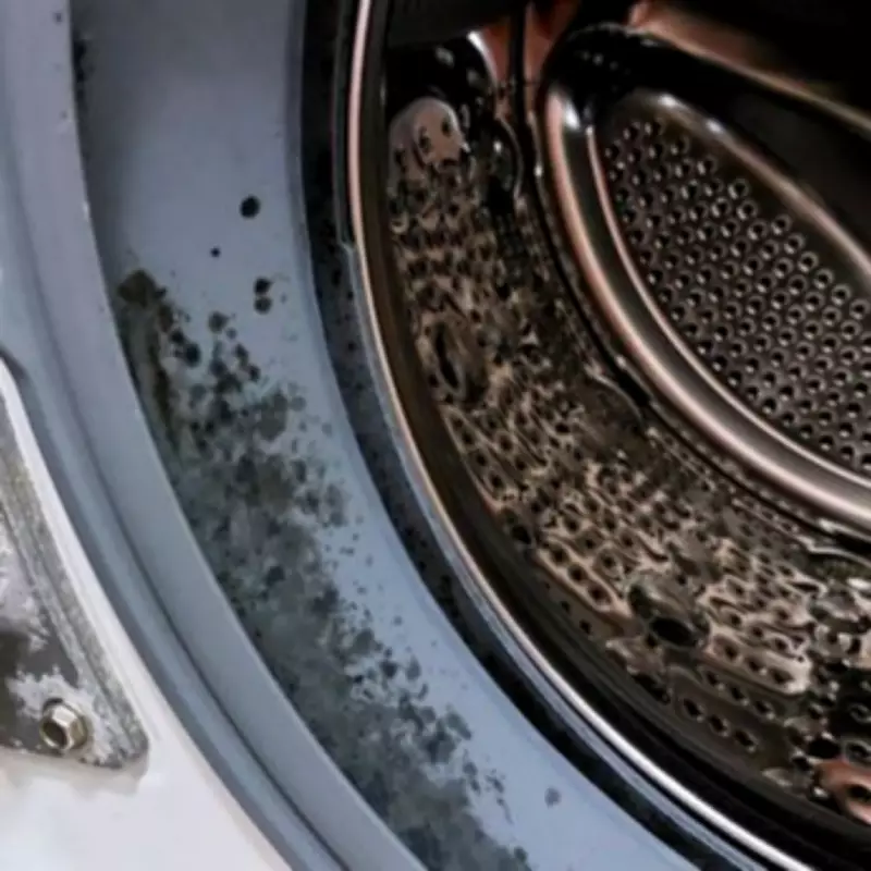 Clean Washing Machine Mould in 15 Minutes with Vinegar, No Bleach Needed