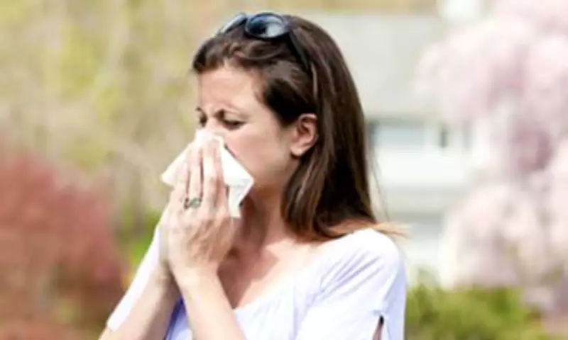 Climate Change Extends Hay Fever Season by Two Weeks, Lancet Report Warns