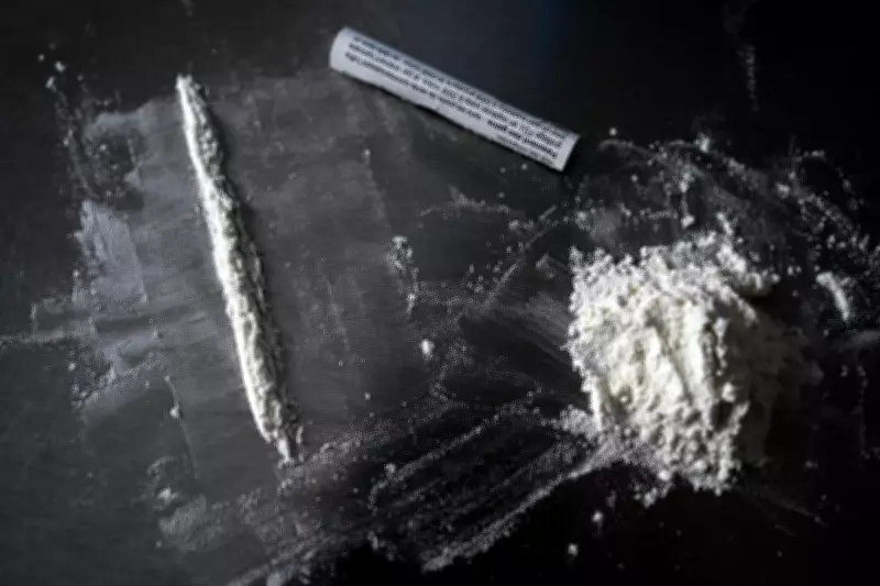 Cocaine Pollution Alters Wild Salmon Migration Patterns, Study Reveals