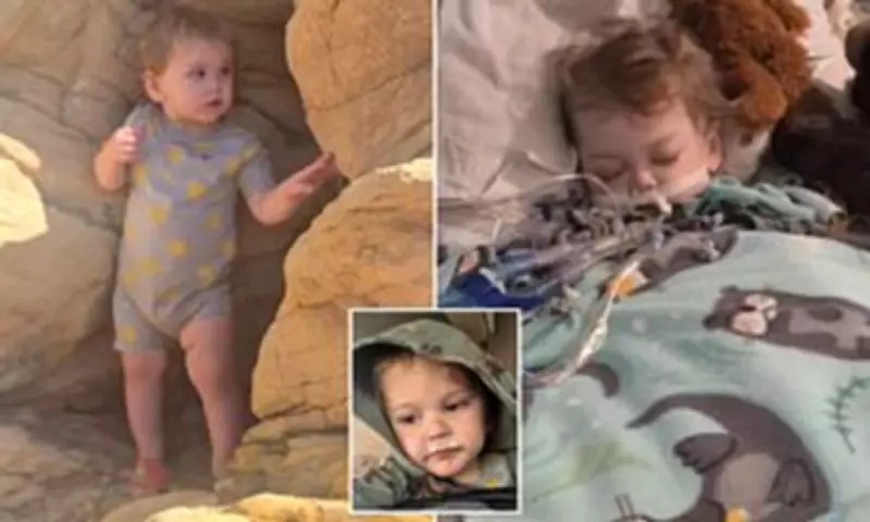 Colorado Toddler to Be Removed from Life Support After Flu and Croup Diagnosis