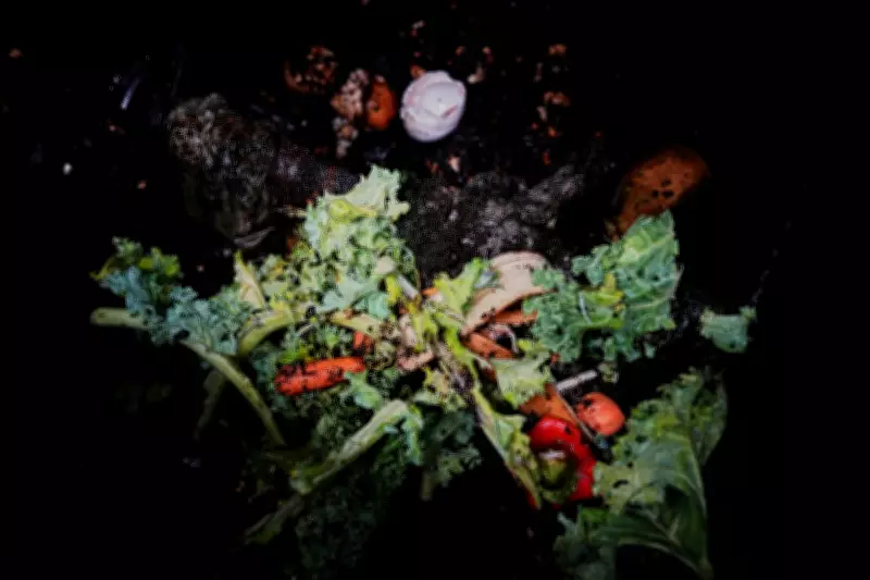 Composting Guide: How to Make 'Black Gold' for Your Garden Soil