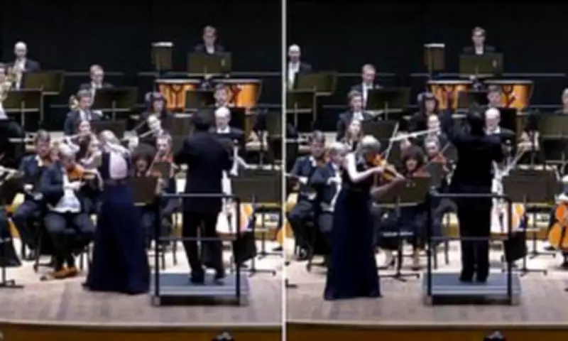 Conductor's Baton Accidentally Knocks £1 Million Violin Mid-Concert