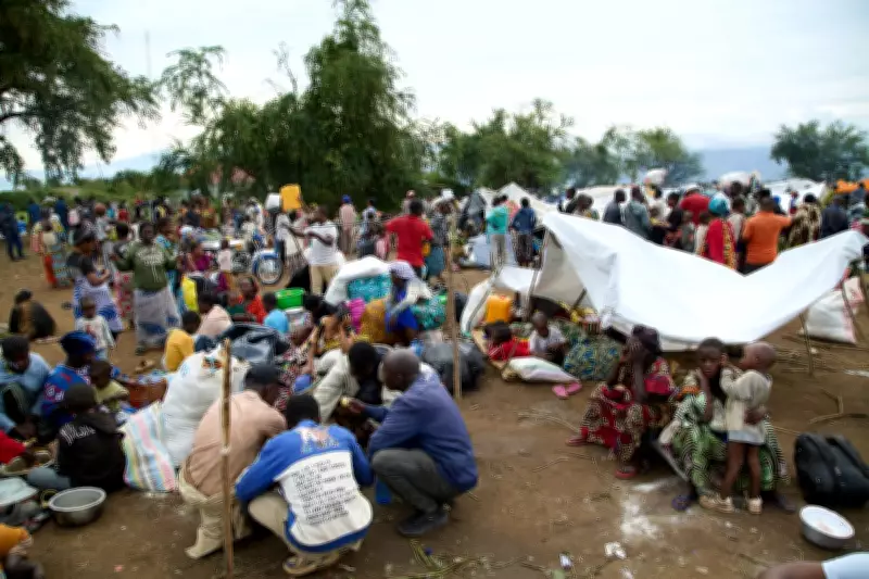 Congolese Refugees Return Home as Security Improves in Eastern Congo