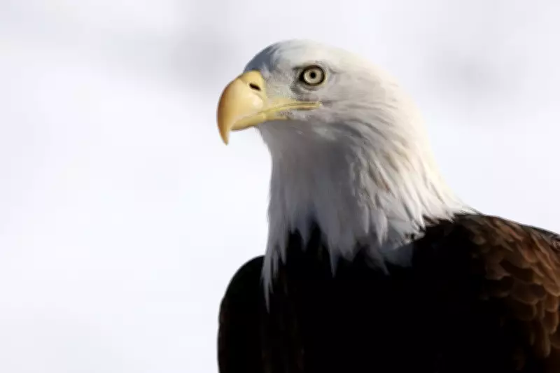 Congress to Vote on Expanding 'God Squad' Powers, Weakening Endangered Species Act
