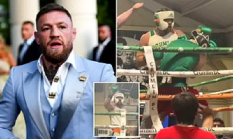 Conor McGregor Stuns Dublin with Surprise Boxing Return After Five-Year Layoff
