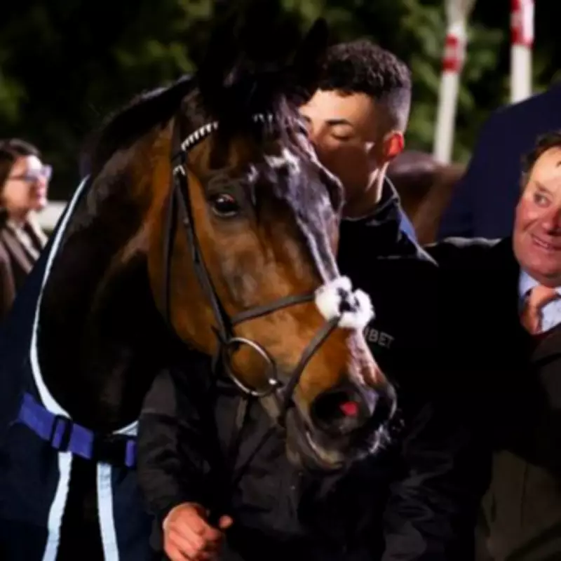 Constitution Hill Withdrawn from Group Race Debut Due to Fast Ground