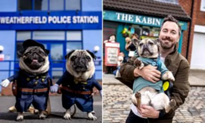 Coronation Street Goes Dog-Friendly for Charity Walkies Event in Manchester