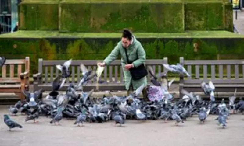 Councils Accused of Abusing Powers with Bans on Feeding Birds and Foraging