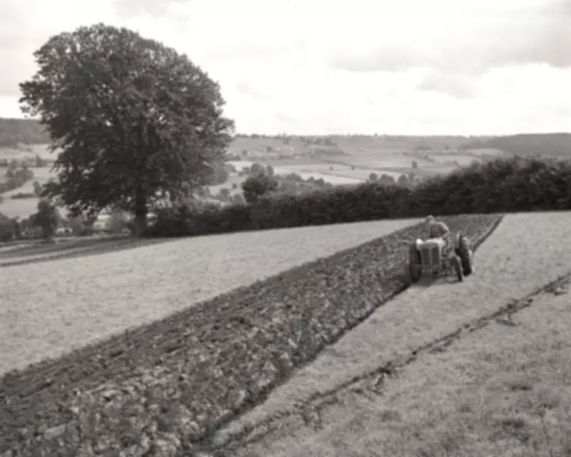 Country Diary 1951: The Dreadful Rush of Spring Farming