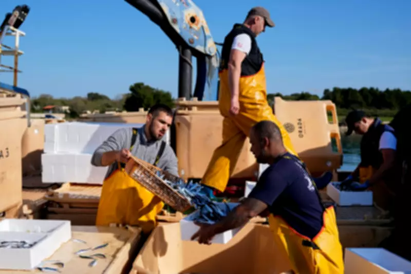 Croatian Fishermen Struggle as Iran Conflict Fuels Soaring Diesel Costs