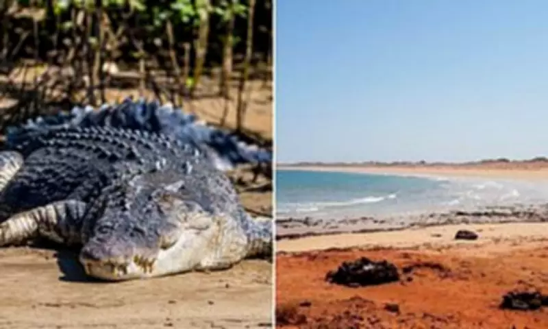 Crocodile Attack Turns Kimberley Camping Trip into Nightmare