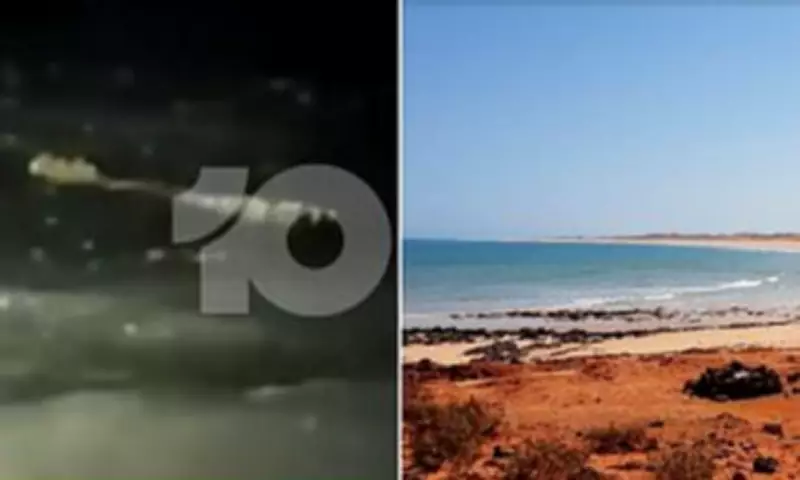 Crocodile Mauls Camper Sleeping on Western Australian Beach in Terrifying Attack