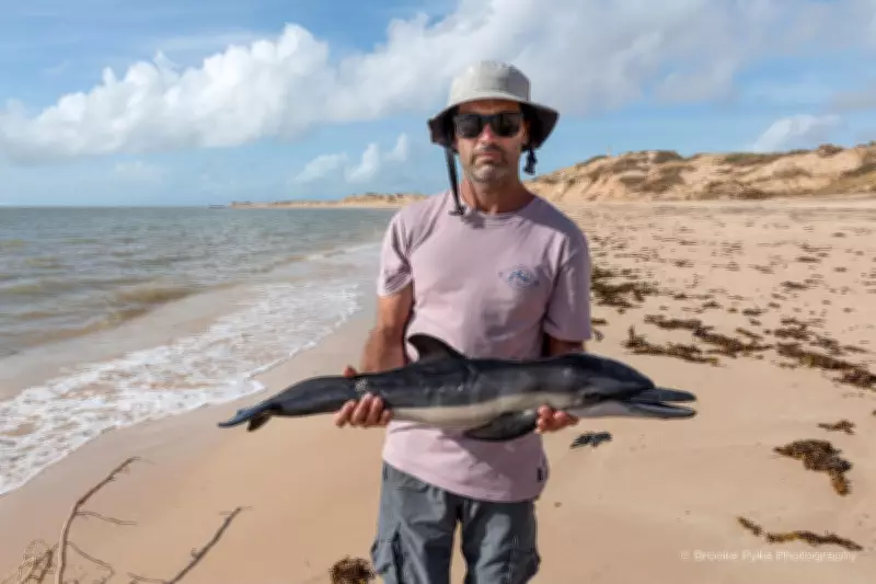 Cyclone Narelle's Devastation: A Graveyard of Marine Life on Western Australia's Coast