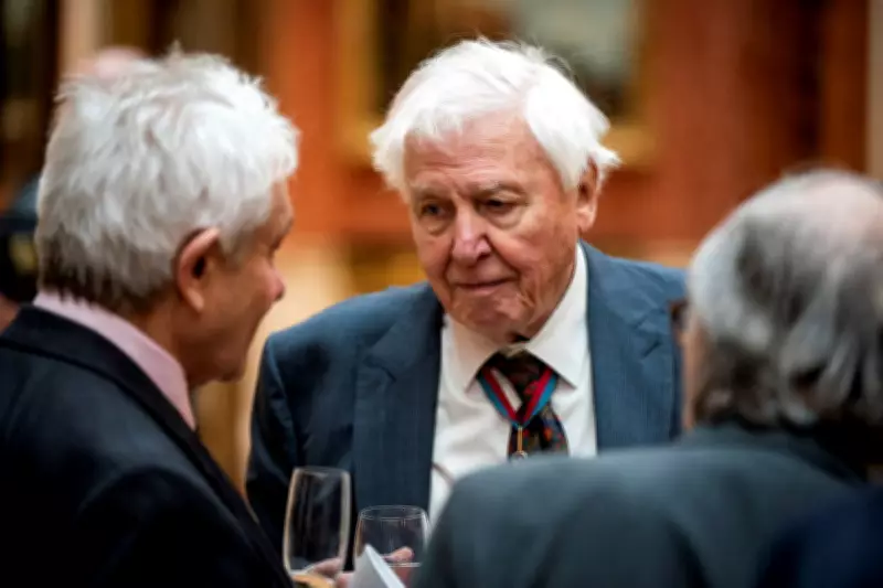 David Attenborough still 'appalled' he shot a caiman 70 years ago