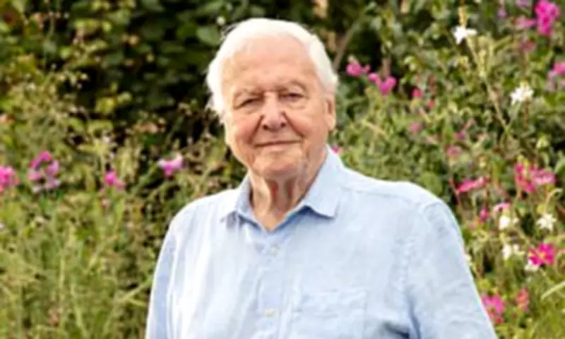 David Attenborough's 'Secret Garden' Captivates BBC Viewers with British Wildlife Drama