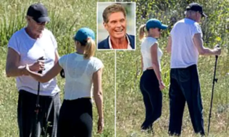 David Hasselhoff Spotted Hiking After Knee and Hip Replacement Surgeries