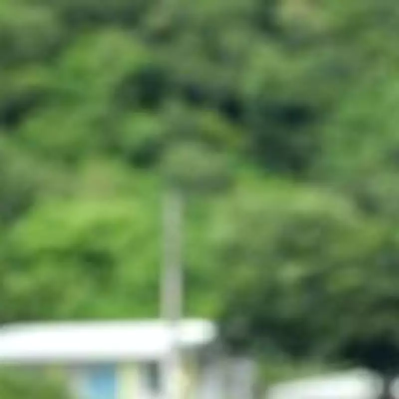 Death In Paradise Renewed for Two More Series and Christmas Specials