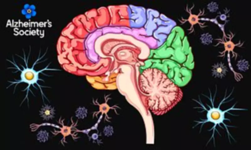 Dementia Brain Destruction: Comprehensive Guide to Symptoms and Warning Signs