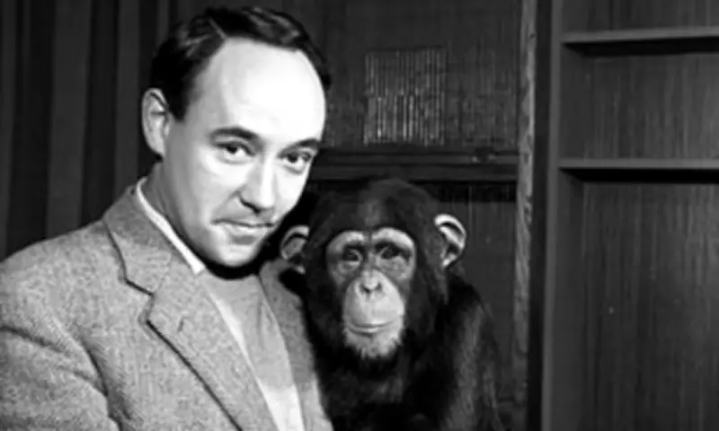 Desmond Morris, Zoologist and TV Presenter, Dies at 98 After Lifetime of Exploration